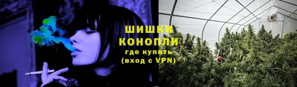 прущие грибы Алзамай