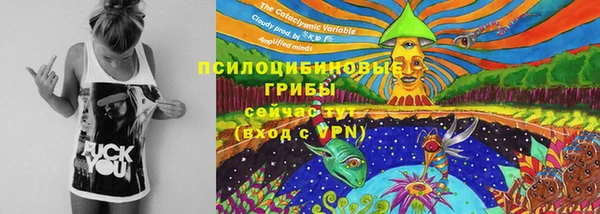 эйфоретик Алексин