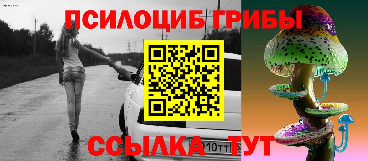 Жуковский  Галлюциногенные грибы Psilocybe  Вход с VPN 
